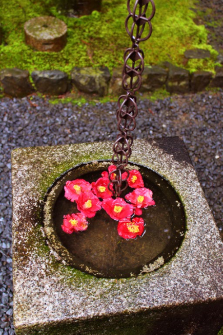 A metal chain hangs down into a circular pool on a stone plinth. Nine red flowers with yellow centers float within the pool. Gravel and greenery in the background.